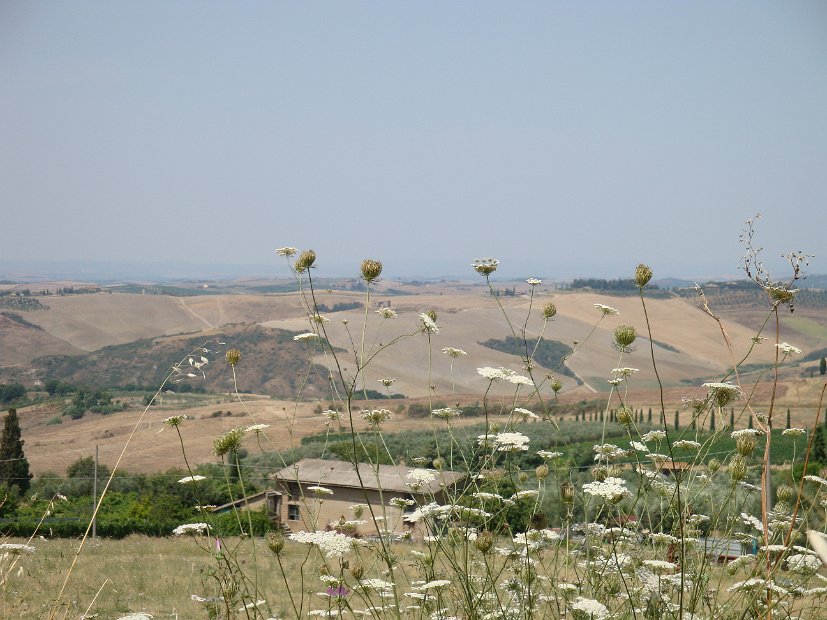 VISTA DA ALBERGO A SAN QUIRICO 2